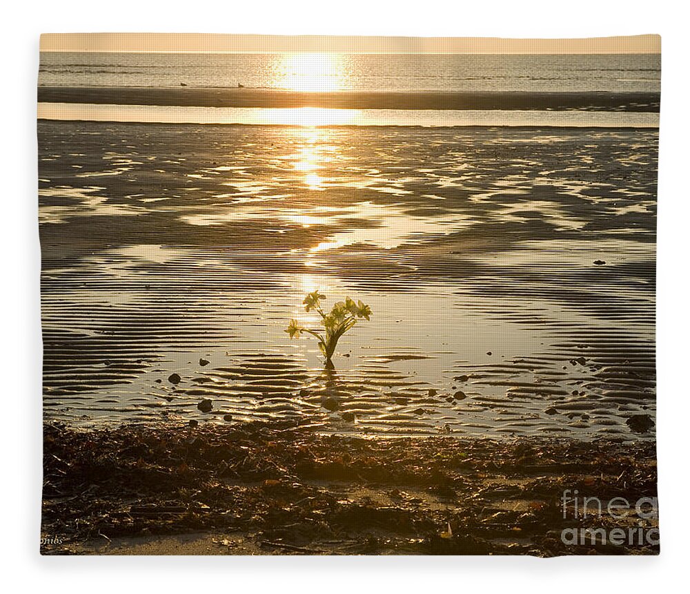 Sunrise Fleece Blanket featuring the photograph Leftover Bouquet by Carol Lynn Coronios