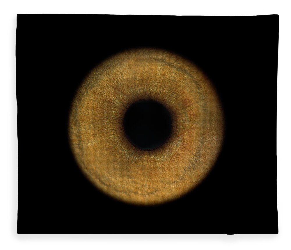 Eyesight Fleece Blanket featuring the photograph Lemurs Eye, Close-up by Jonathan Knowles