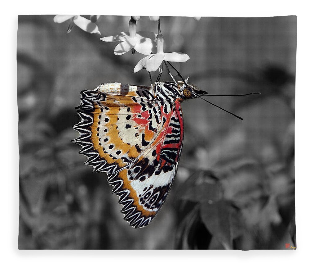 Scenic Fleece Blanket featuring the photograph Leopard Lacewing Butterfly DTHU619BW by Gerry Gantt