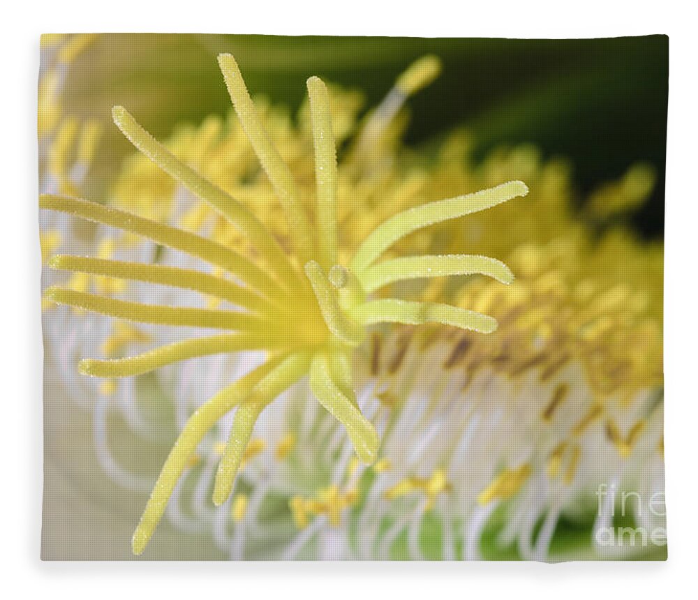 Cactus Fleece Blanket featuring the photograph Like a Spider by Tamara Becker