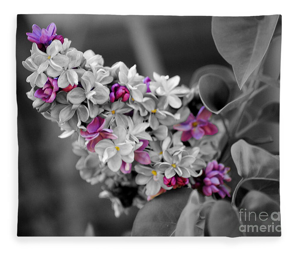 Lilac Fleece Blanket featuring the photograph Lilac Flowers by Jai Johnson