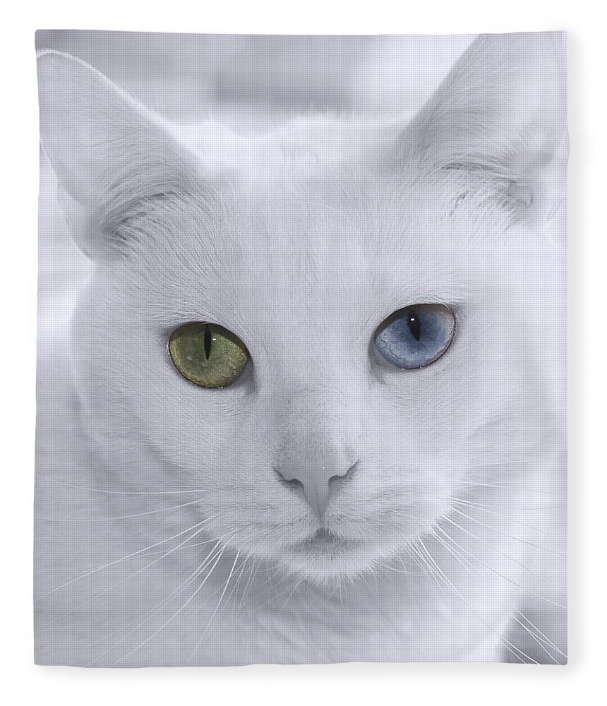 Feline Fleece Blanket featuring the photograph Lillie by Denise Beverly