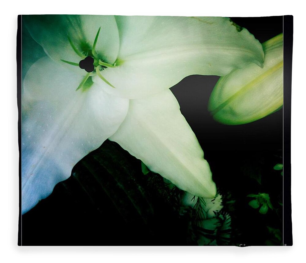 Lily Fleece Blanket featuring the photograph Lily by Denise Railey