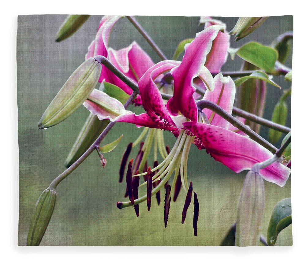 Flower Fleece Blanket featuring the photograph Lily in the Pink by Kerri Farley