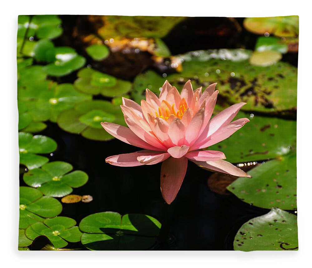 Lily Fleece Blanket featuring the photograph Lily pad by John Johnson