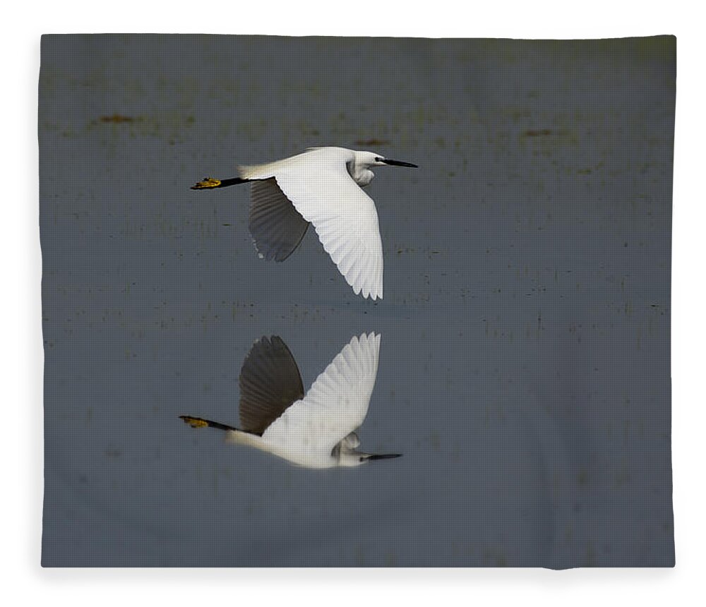 Egret Fleece Blanket featuring the photograph Little Egret in flight by Tony Mills