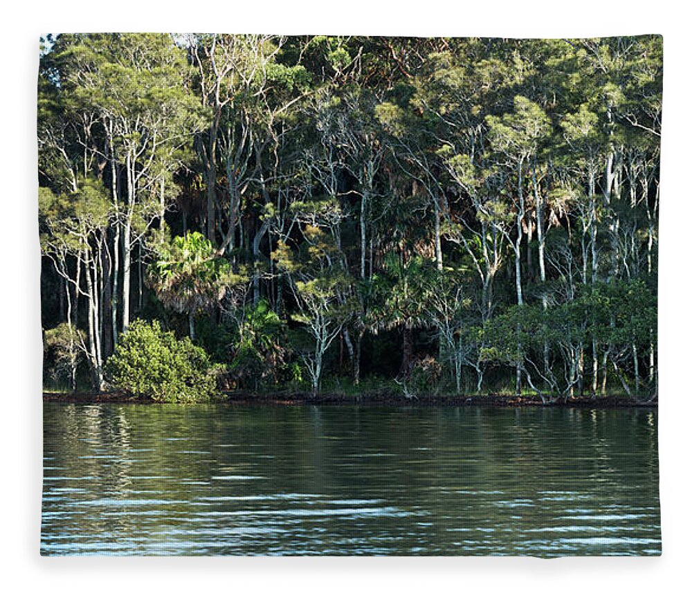 Scenics Fleece Blanket featuring the photograph Littoral Rainforest Australia by Philip Quirk