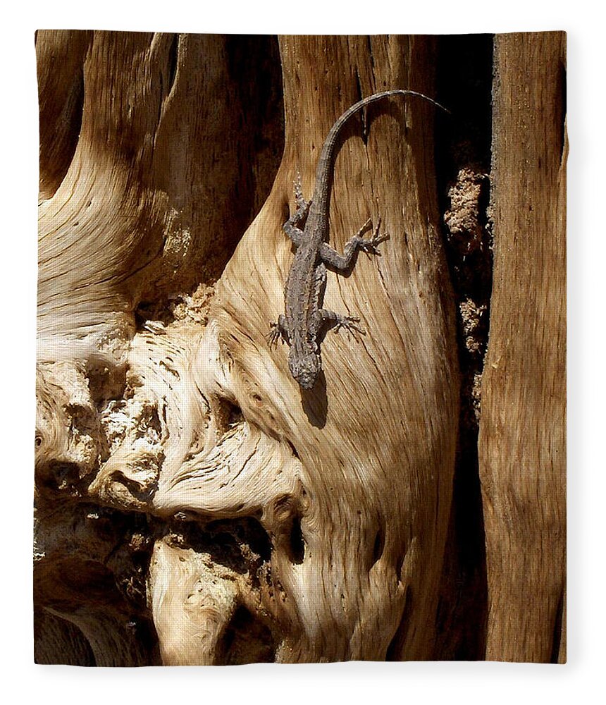 United States Fleece Blanket featuring the photograph Lizard by Richard Gehlbach