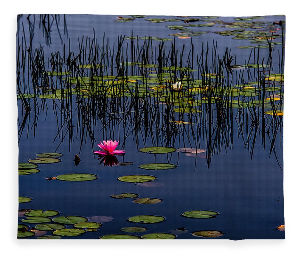 New Jersey Fleece Blanket featuring the photograph Lone Pink Water Lily by Louis Dallara