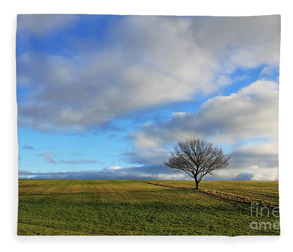 Epsom Downs Surrey England Uk English Countryside Landscape British Lone Tree Grass Hill Hillside Slope Fluffy Clouds Pretty Winter Day Dusk Green Blue Sky Stark Fleece Blanket featuring the photograph Lone tree at Epsom Downs UK by Julia Gavin