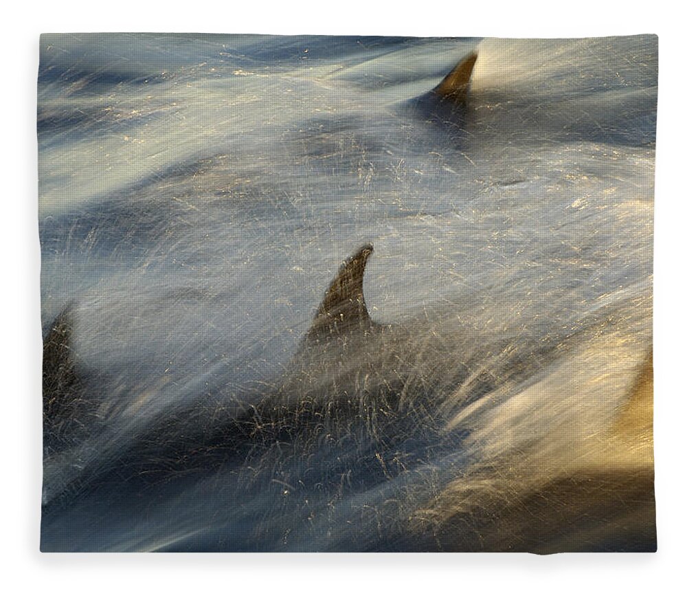 Flpa Fleece Blanket featuring the photograph Long-beaked Common Dolphin Porpoising by Malcolm Schuyl