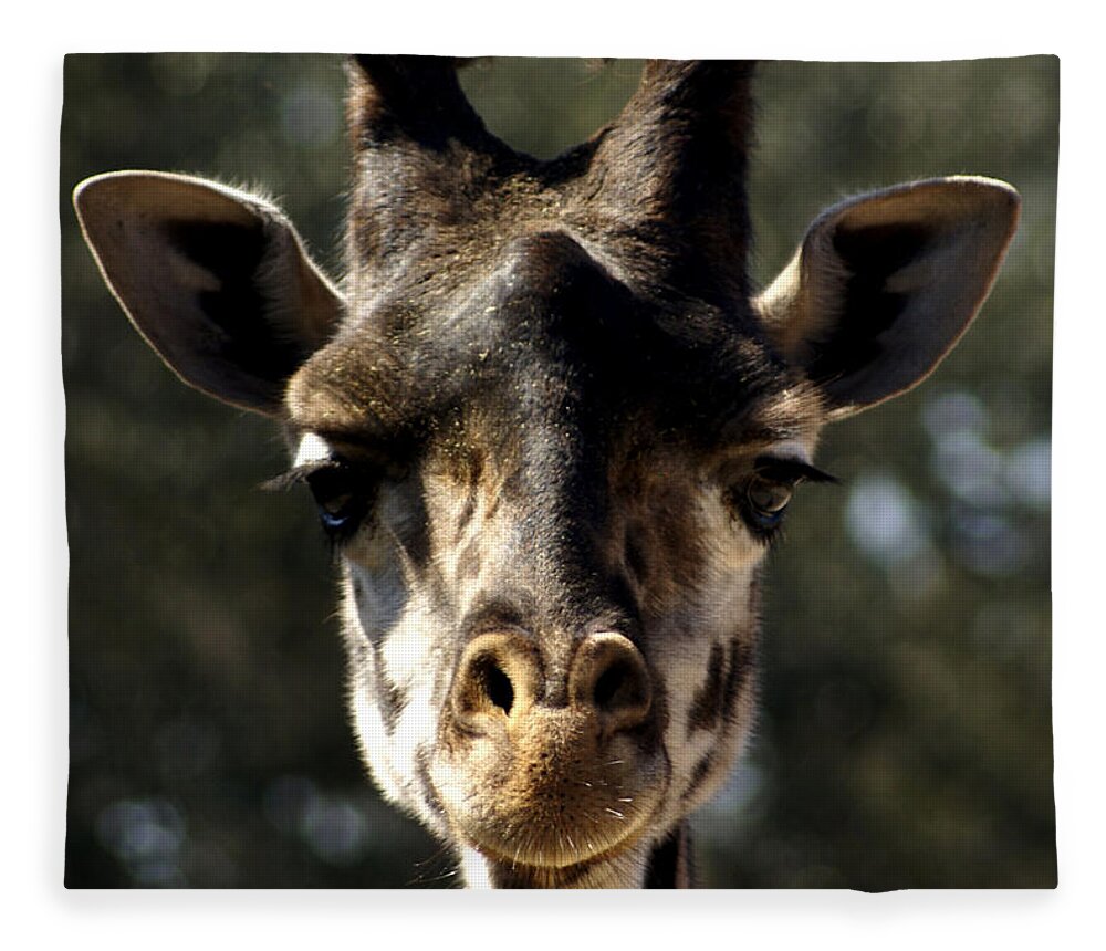Giraffe Fleece Blanket featuring the photograph Look into my eyes by Chauncy Holmes