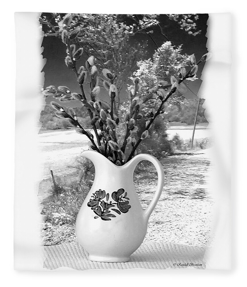Window Fleece Blanket featuring the photograph Looking out the Window by Randall Branham
