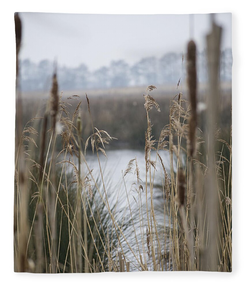 Reeds Fleece Blanket featuring the photograph Looking through the Reeds by Spikey Mouse Photography