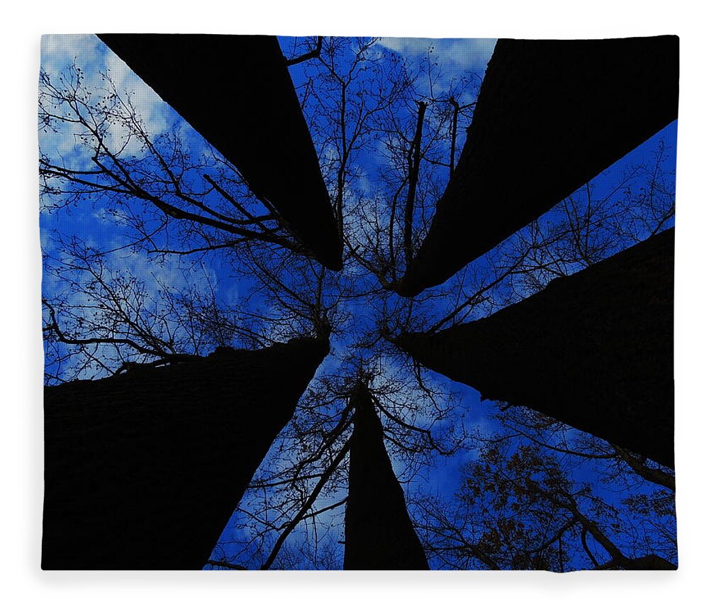 Trees Fleece Blanket featuring the photograph Looking Up by Raymond Salani III