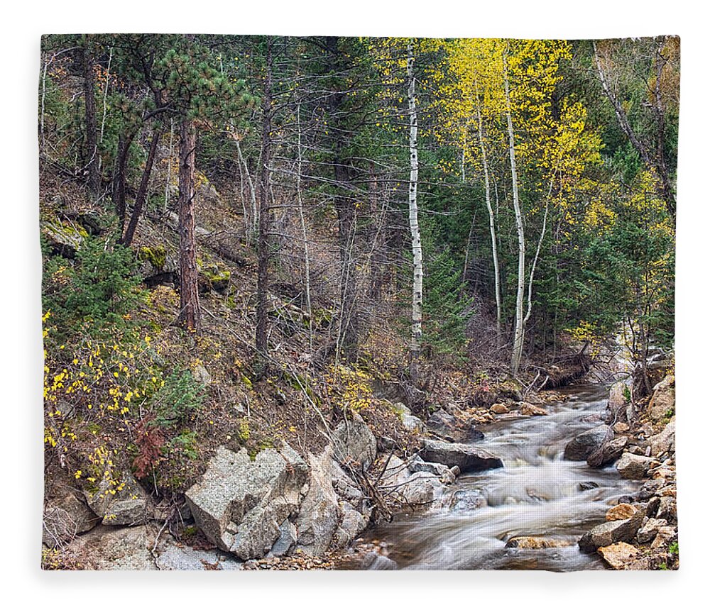 Colorado Fleece Blanket featuring the photograph Looking Up the South St Vrain Canyon by James BO Insogna