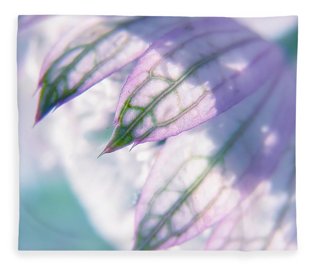 Astrantia Major Fleece Blanket featuring the photograph Lost In A Daydream by John Poon