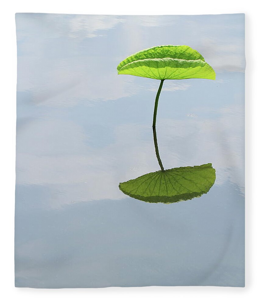 Standing Water Fleece Blanket featuring the photograph Lotus Leaf Reflecting On Water by Akurashashin