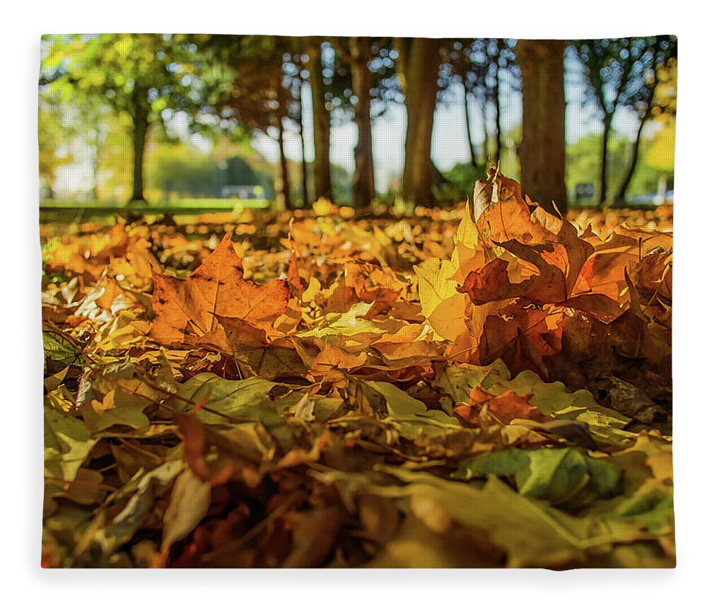 Outdoors Fleece Blanket featuring the photograph Low Angle Of Autumn Leaves On The Ground by Verity E. Milligan