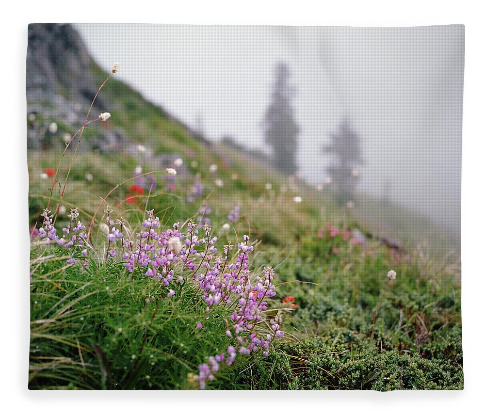 Tranquility Fleece Blanket featuring the photograph Lupine Blooming On Foggy Hillside by Danielle D. Hughson