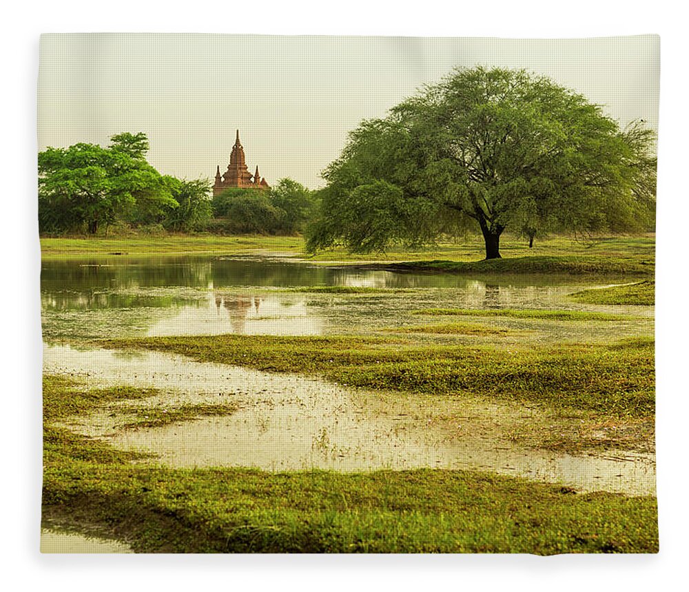 Grass Fleece Blanket featuring the photograph Lush Landscape With Wide Tree And Temple by Merten Snijders