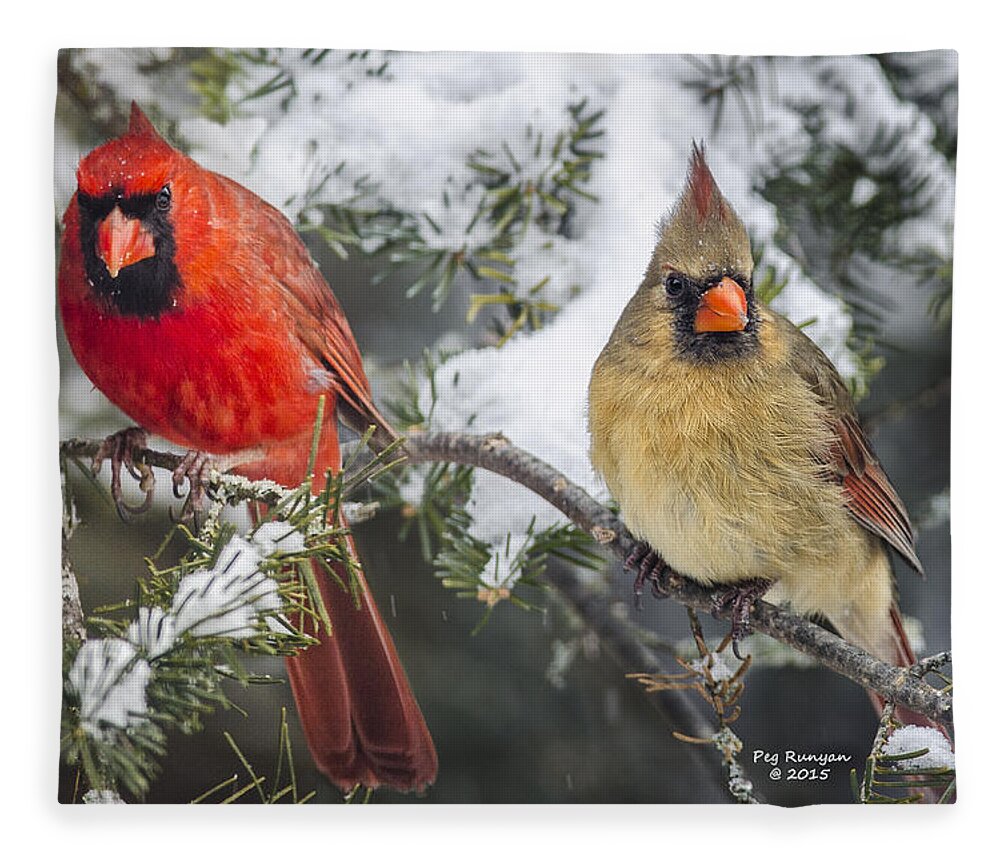 Male Cardinal Fleece Blanket featuring the photograph Ma and Pa Cardinal by Peg Runyan