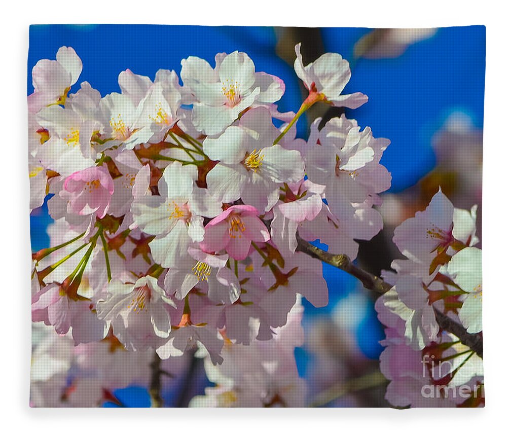 2012 Centennial Celebration Fleece Blanket featuring the photograph Macro DC Cherry Blooms by Jeff at JSJ Photography