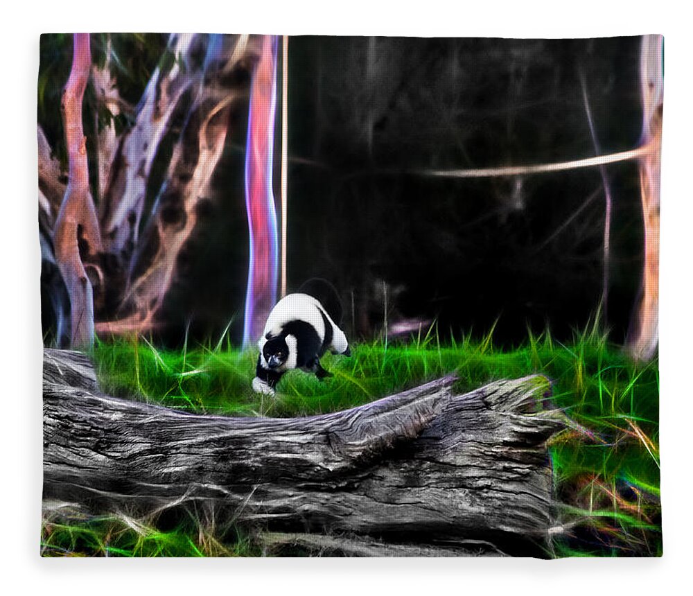 Lemur Fleece Blanket featuring the photograph Walk in Magical Land Of The Black and White Ruffed Lemur by Miroslava Jurcik