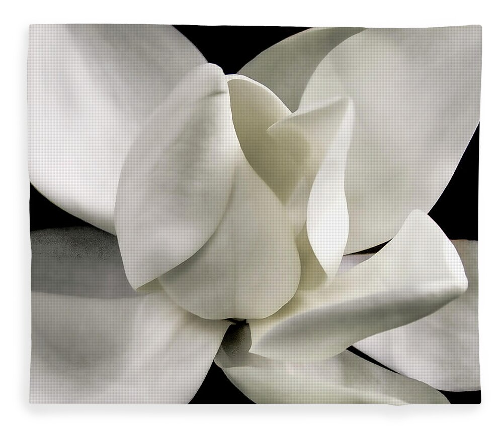 Magnolia Fleece Blanket featuring the photograph Magnolia Bloom by David Patterson