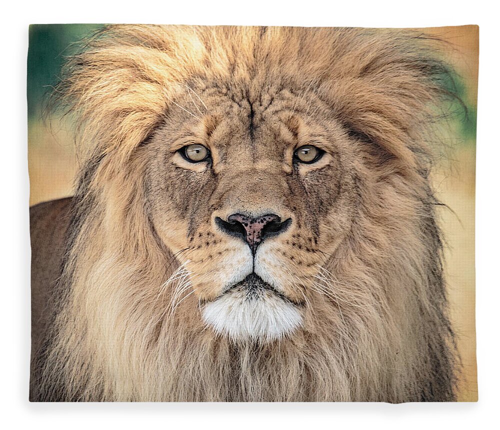 Lion Fleece Blanket featuring the photograph Majestic King by Everet Regal