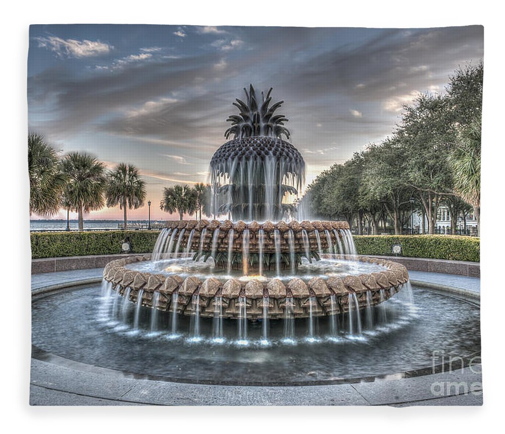 Pineapple Fountain Fleece Blanket featuring the photograph Make A Wish by Dale Powell