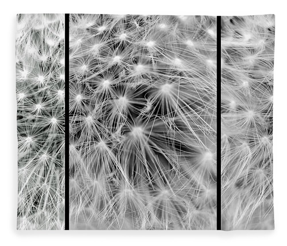 Dandelion Fleece Blanket featuring the photograph Make a Wish by Jackson Pearson