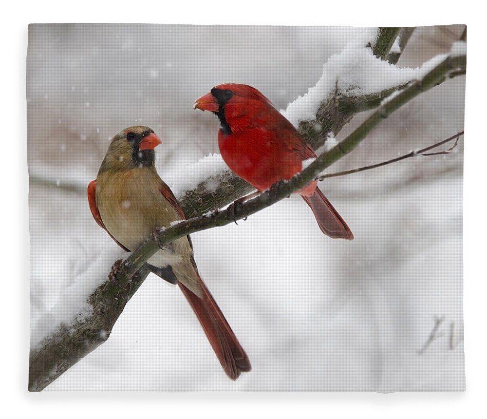 Birds Fleece Blanket featuring the photograph Male and Female Cardinal by Ann Bridges