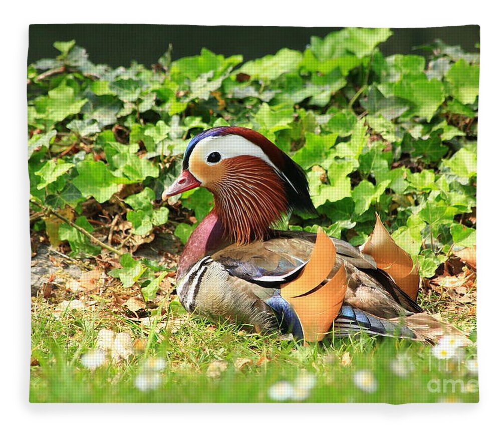 Animal Fleece Blanket featuring the photograph Mandarin Duck in the grass by Amanda Mohler