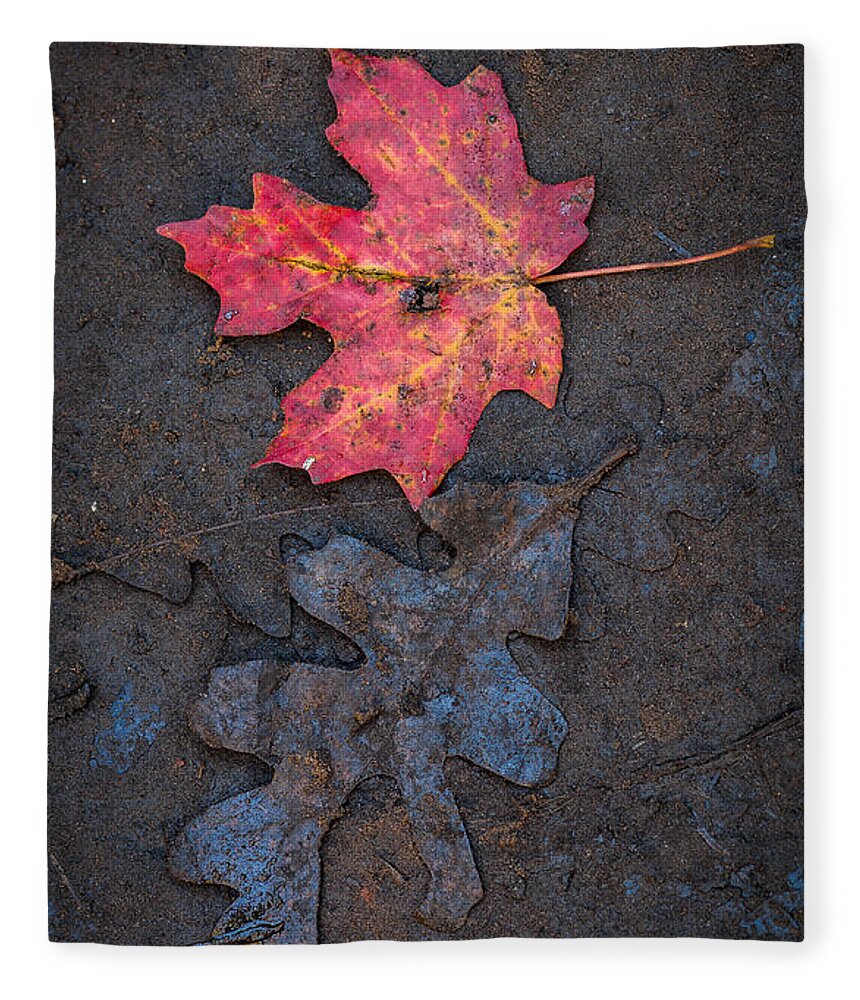 Maple Leaf Fleece Blanket featuring the photograph Maple and Oak Leaves by Tamara Becker
