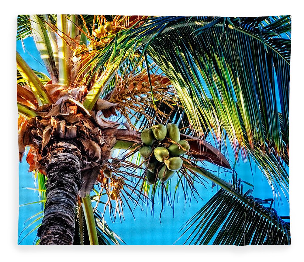 Hawaii Fleece Blanket featuring the photograph Maui Palm by Lars Lentz