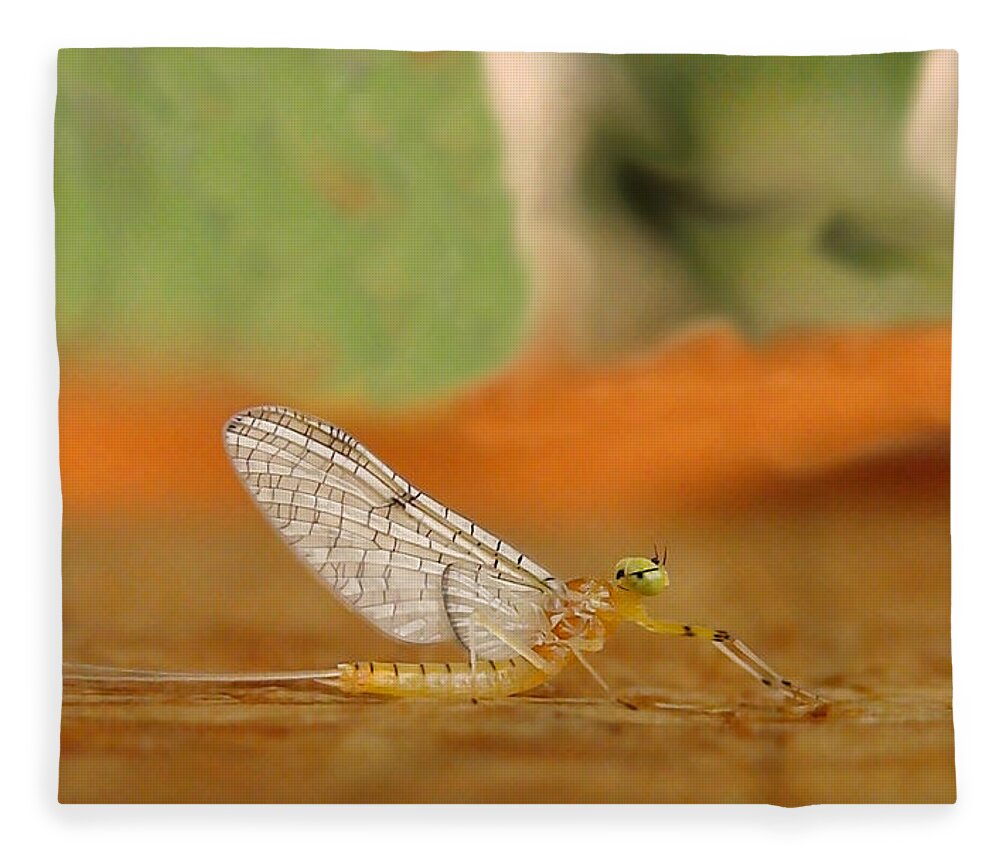 Mayfly Fleece Blanket featuring the photograph Mayfly Art by Thomas Young