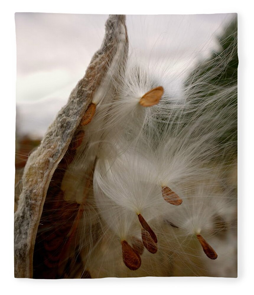 Asclepias L. Fleece Blanket featuring the photograph Milkweed by Jacqueline Athmann