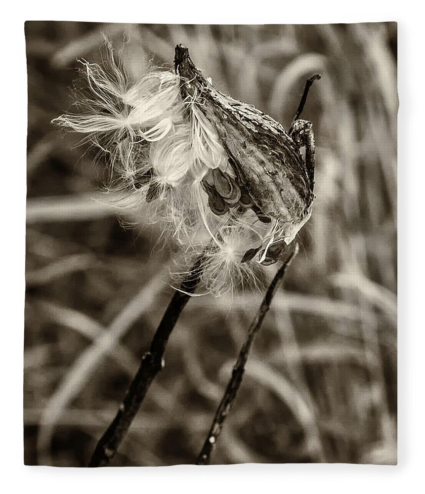 Steve Harrington Fleece Blanket featuring the photograph Milkweed Pod sepia by Steve Harrington