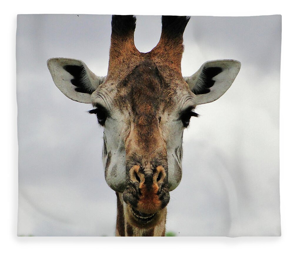 Tanzania Fleece Blanket featuring the photograph Miss Giraffe by Marco Di Fabio