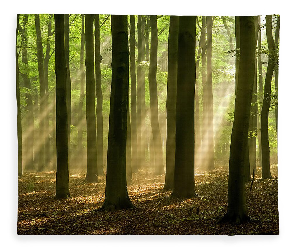 Scenics Fleece Blanket featuring the photograph Missed And Loved by Bob Van Den Berg Photography