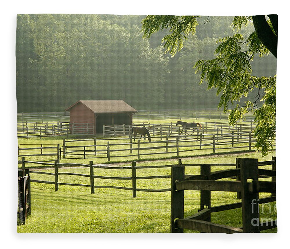Horses Fleece Blanket featuring the photograph Misty Morning Maze by Carol Lynn Coronios
