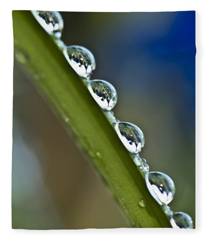  Fleece Blanket featuring the photograph Morning dew drops 2 by Heiko Koehrer-Wagner