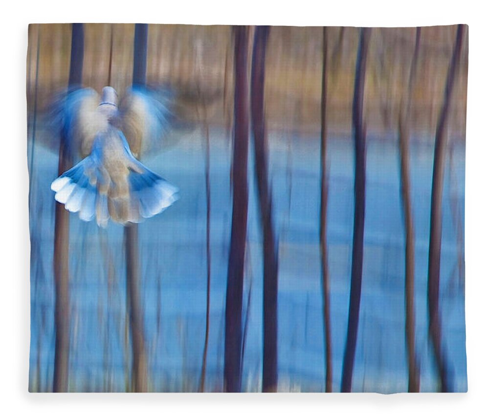 Poetry Fleece Blanket featuring the photograph Morning Dove by Theresa Tahara
