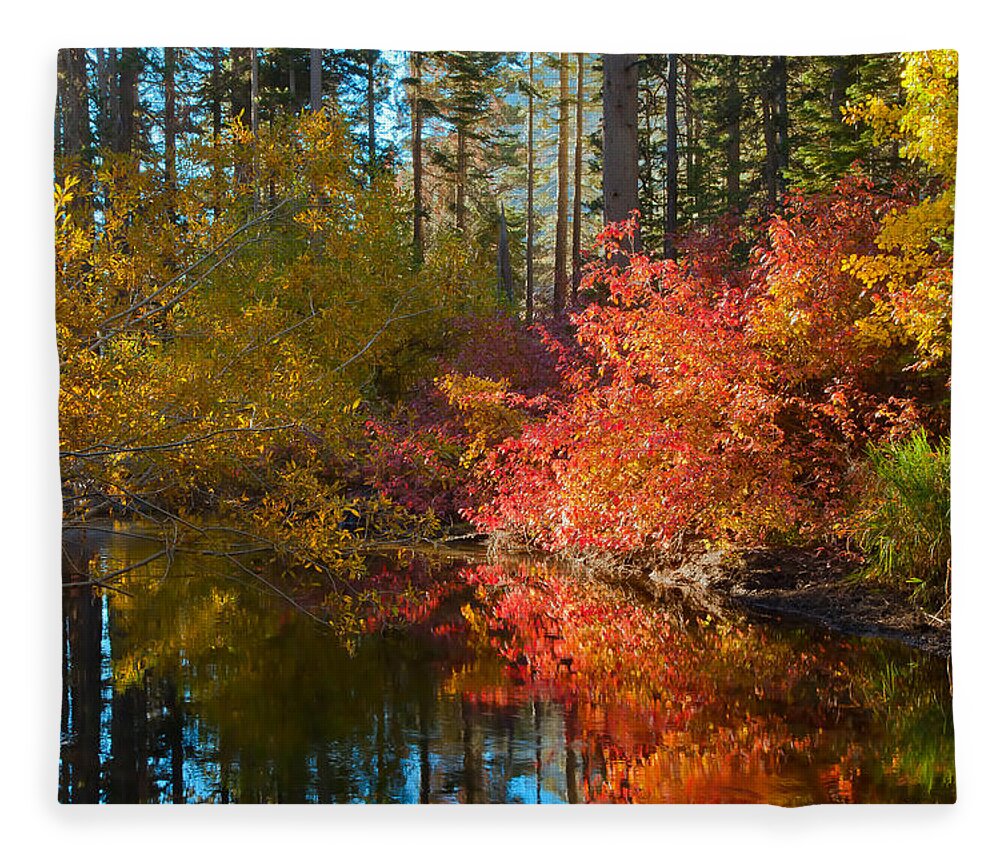 Landscape Fleece Blanket featuring the photograph Morning Glow by Jonathan Nguyen