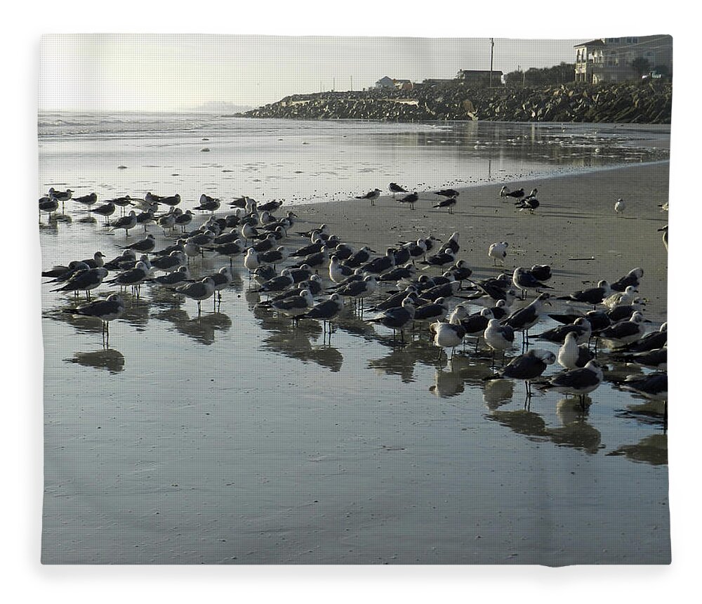 Seashore Fleece Blanket featuring the photograph Morning Gulls by Deborah Ferree
