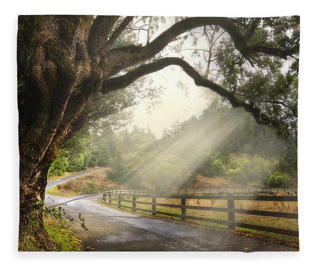 Clouds Fleece Blanket featuring the photograph Morning Light by Debra and Dave Vanderlaan