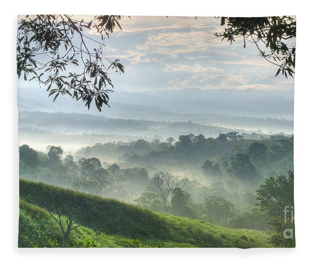 Landscape Fleece Blanket featuring the photograph Morning Mist by Heiko Koehrer-Wagner