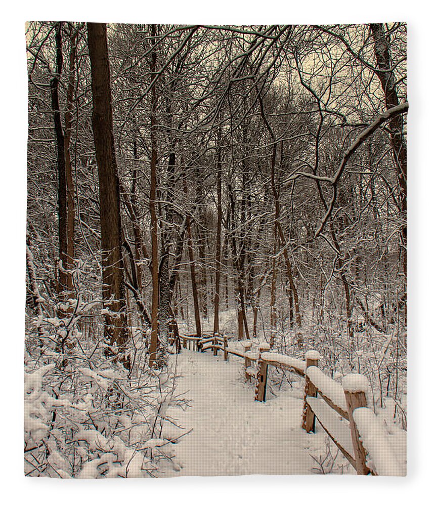 Winter Fleece Blanket featuring the photograph Morning Snow Path by Lauri Novak
