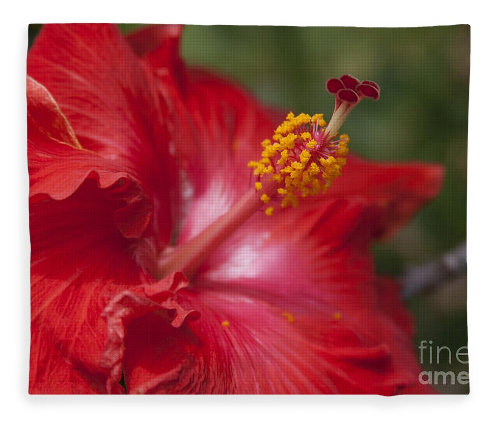 Aloha Fleece Blanket featuring the photograph Morning Whispers by Sharon Mau